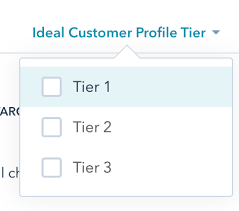 Captura de pantalla que muestra las casillas de verificación del nivel ICP de HubSpot.